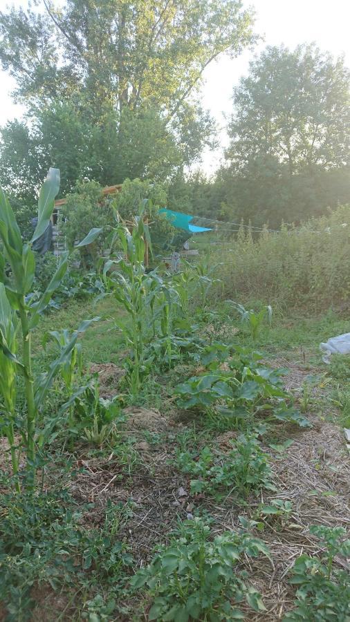 Tente En Permaculture Pirate Creysse  المظهر الخارجي الصورة