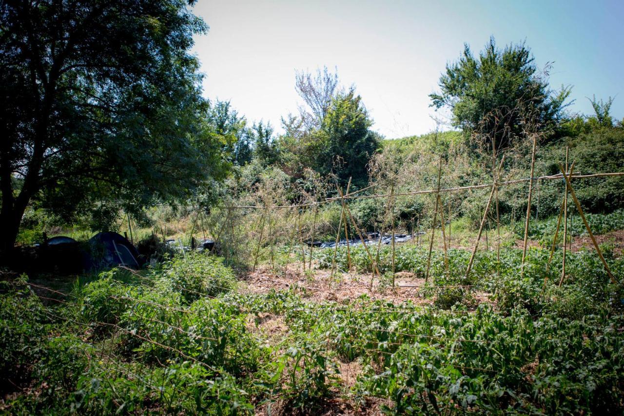 Tente En Permaculture Pirate Creysse  المظهر الخارجي الصورة